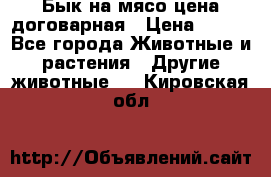 Бык на мясо цена договарная › Цена ­ 300 - Все города Животные и растения » Другие животные   . Кировская обл.